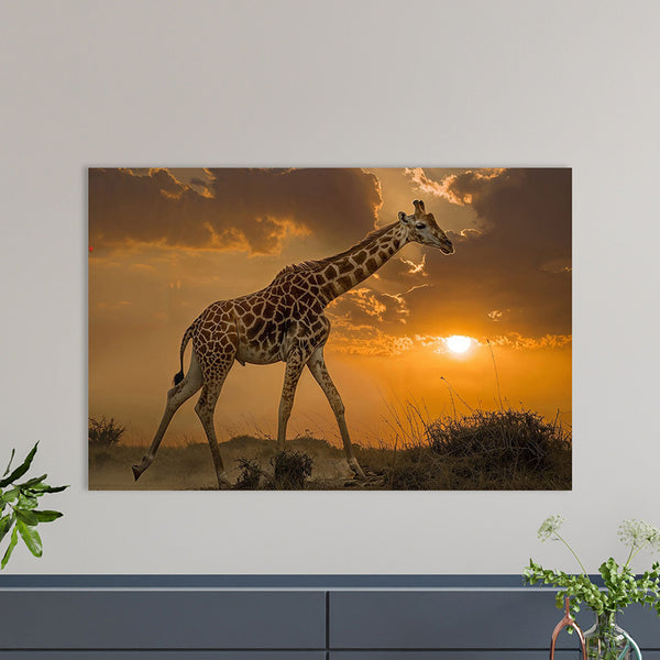 Wildlife Giraffe #1